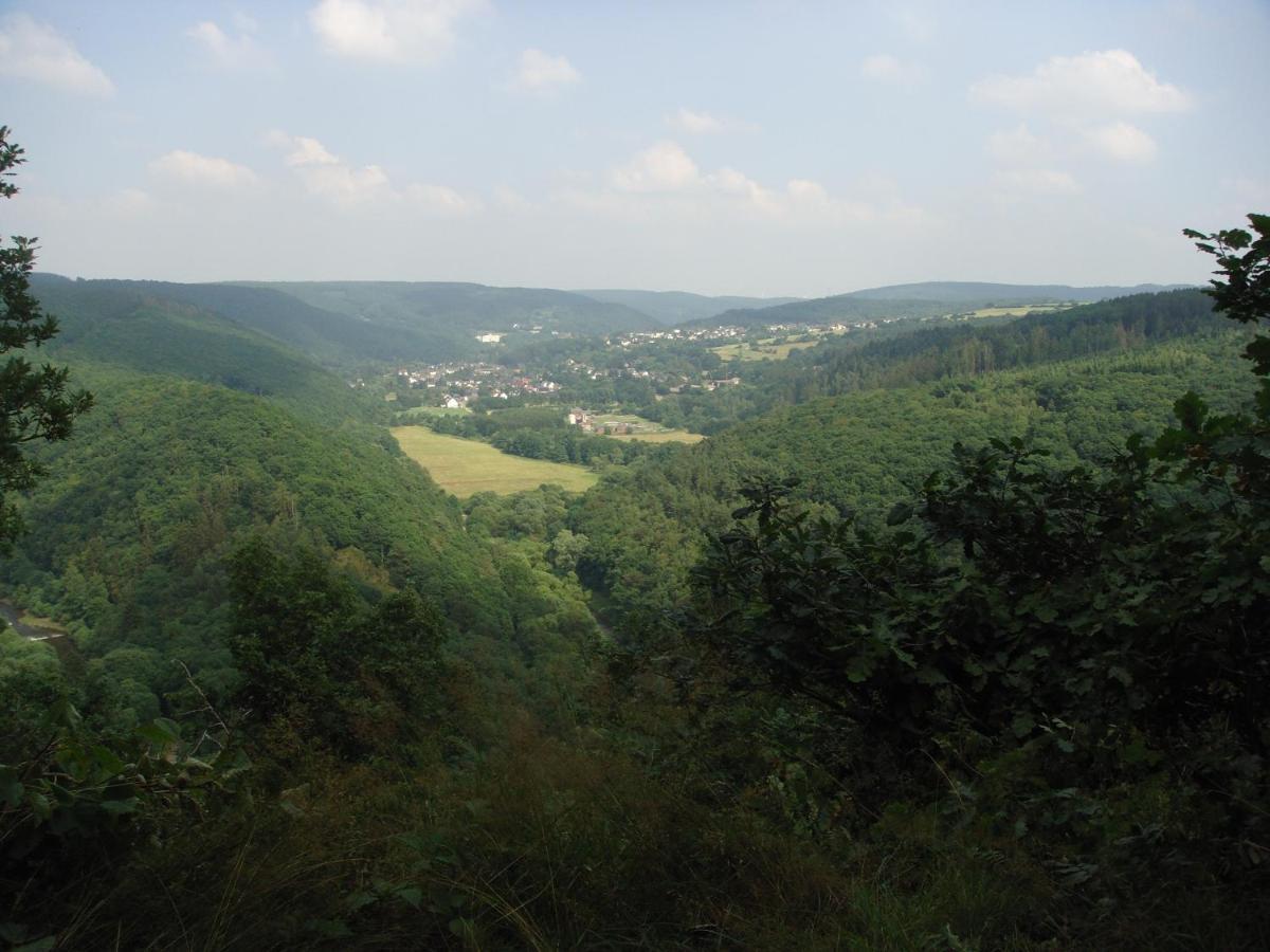 Appartamento Haus Eifelinchen Schleiden Esterno foto